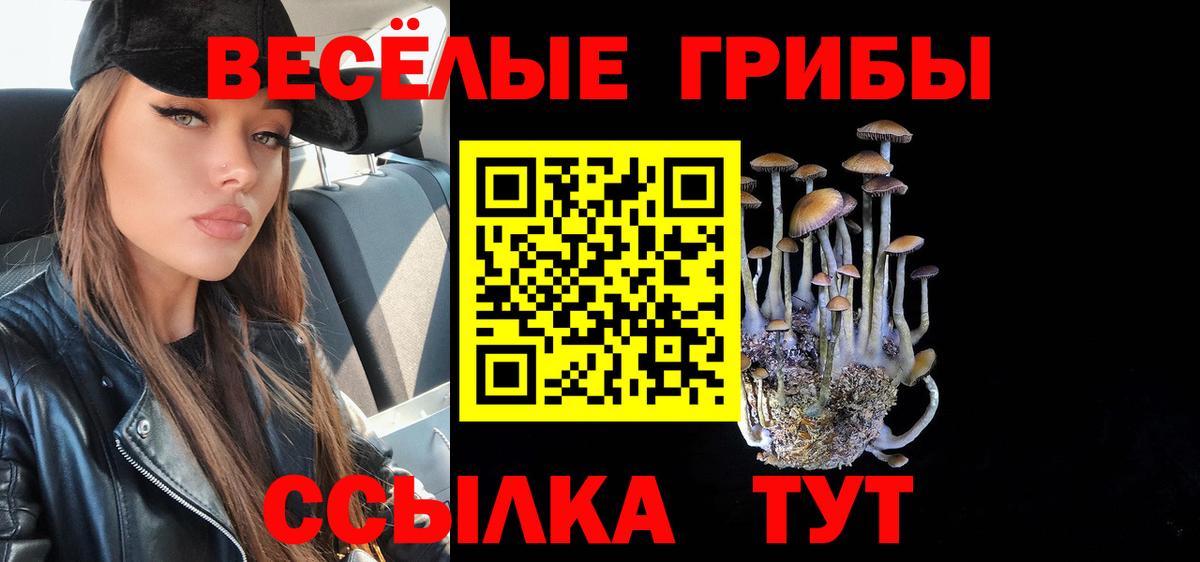 Псилоцибиновые грибы ЛСД  Вход с VPN  Псилоцибиновые грибы Psilocybe  Зерноград 